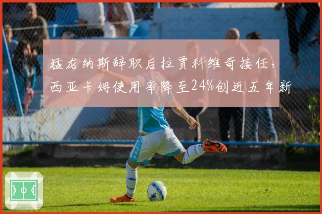 猛龙纳斯辞职后拉贾科维奇接任，西亚卡姆使用率降至24%创近五年新低