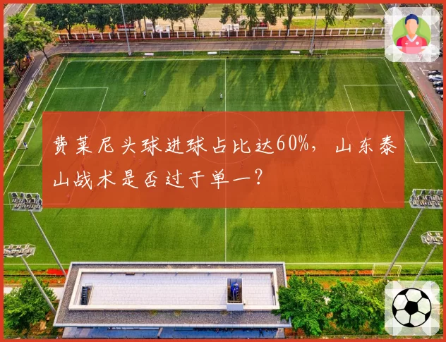 费莱尼头球进球占比达60%,山东泰山战术是否过于单一?